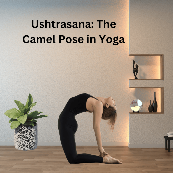 Ushtrasana-The Camel Pose in Yoga