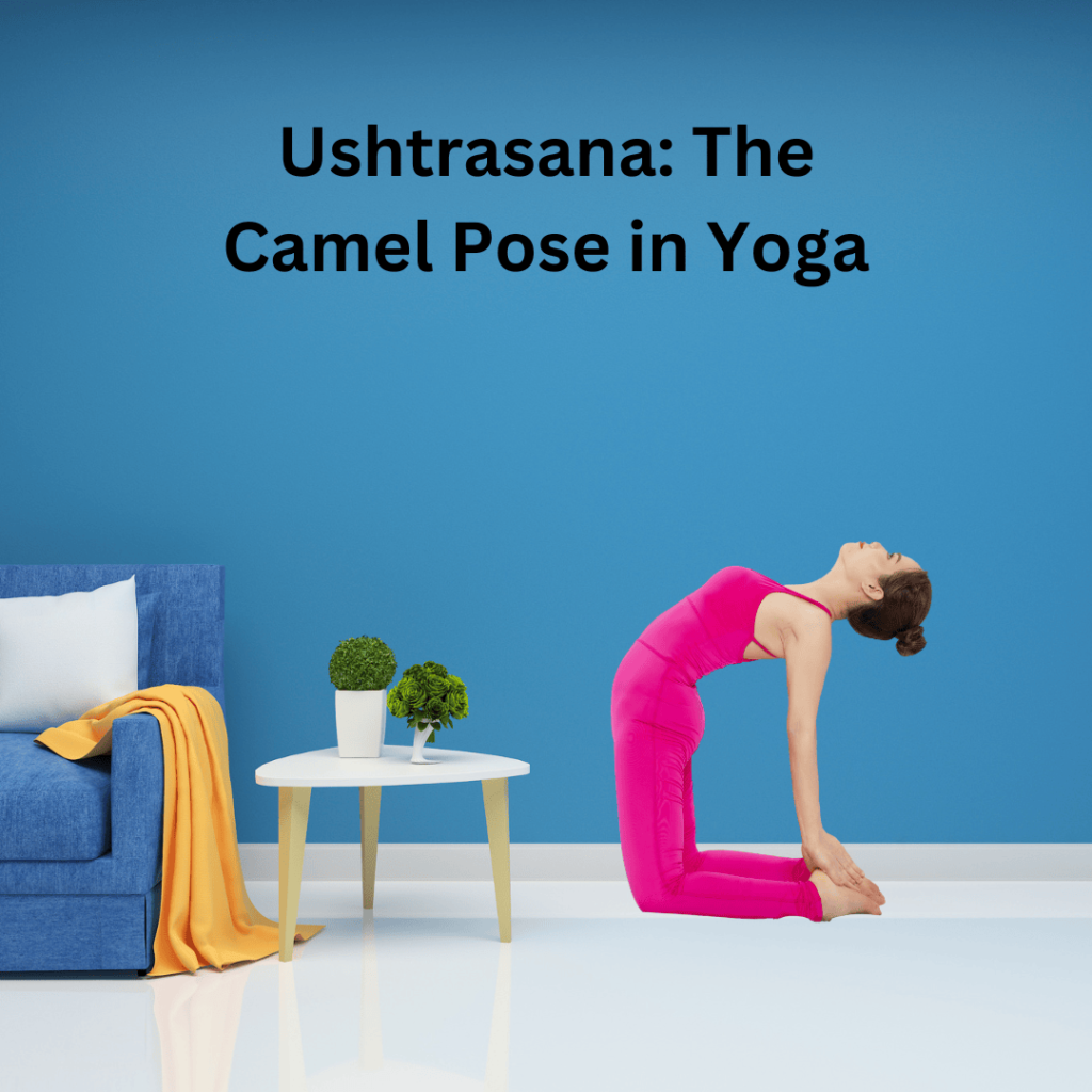 Ushtrasana The Camel Pose in Yoga 1