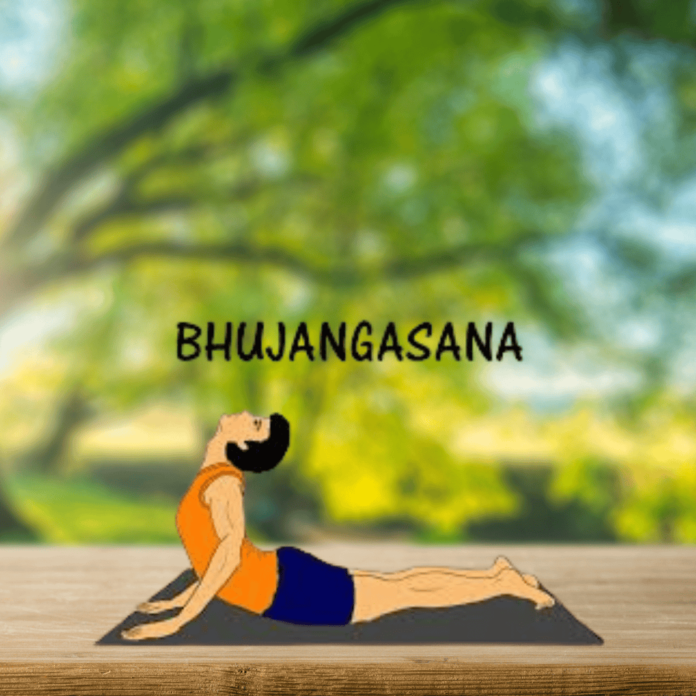 Glow Up Your Health: Bhujangasana Yoga Secrets for Vitality