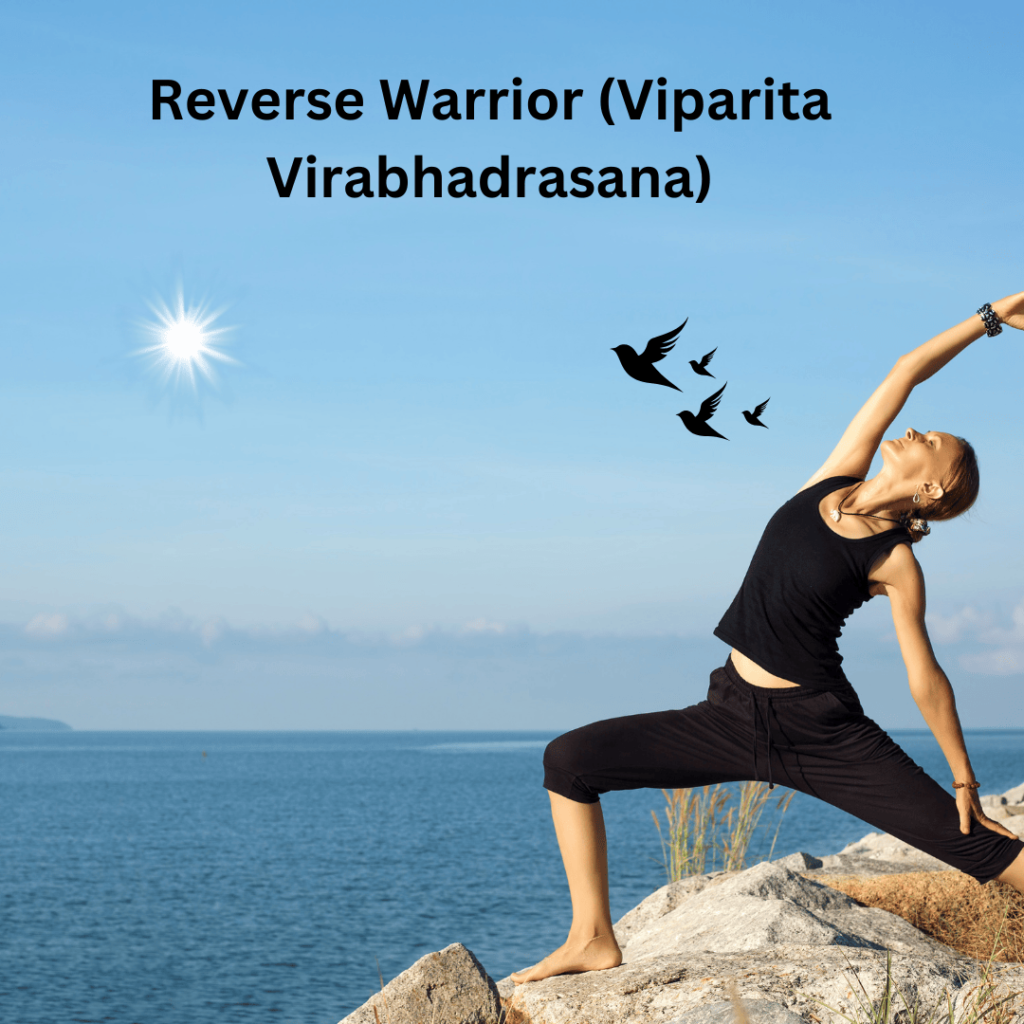 Reverse Warrior (Viparita Virabhadrasana)