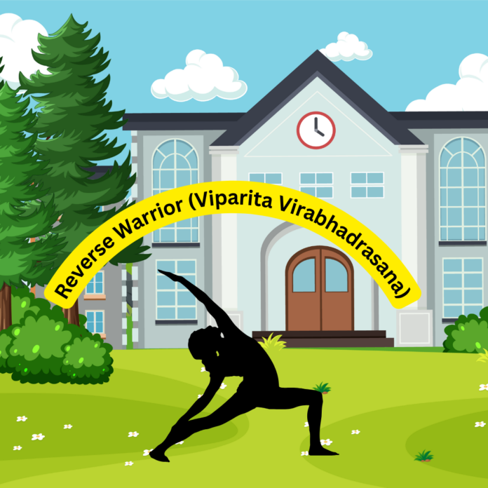 Reverse Warrior (Viparita Virabhadrasana)